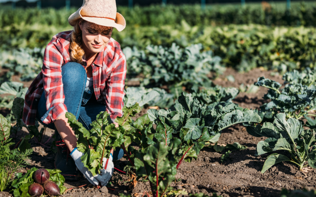 Harvest Your Potential: Nurturing Growth and Success